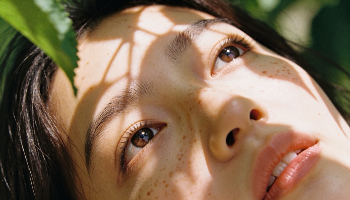 Francis Jiu-Jitsu - web development case study