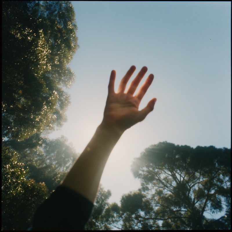 Editorial portrait — emotive, golden-hour light