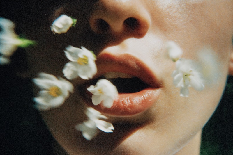 Cinematic landscape — editorial composition